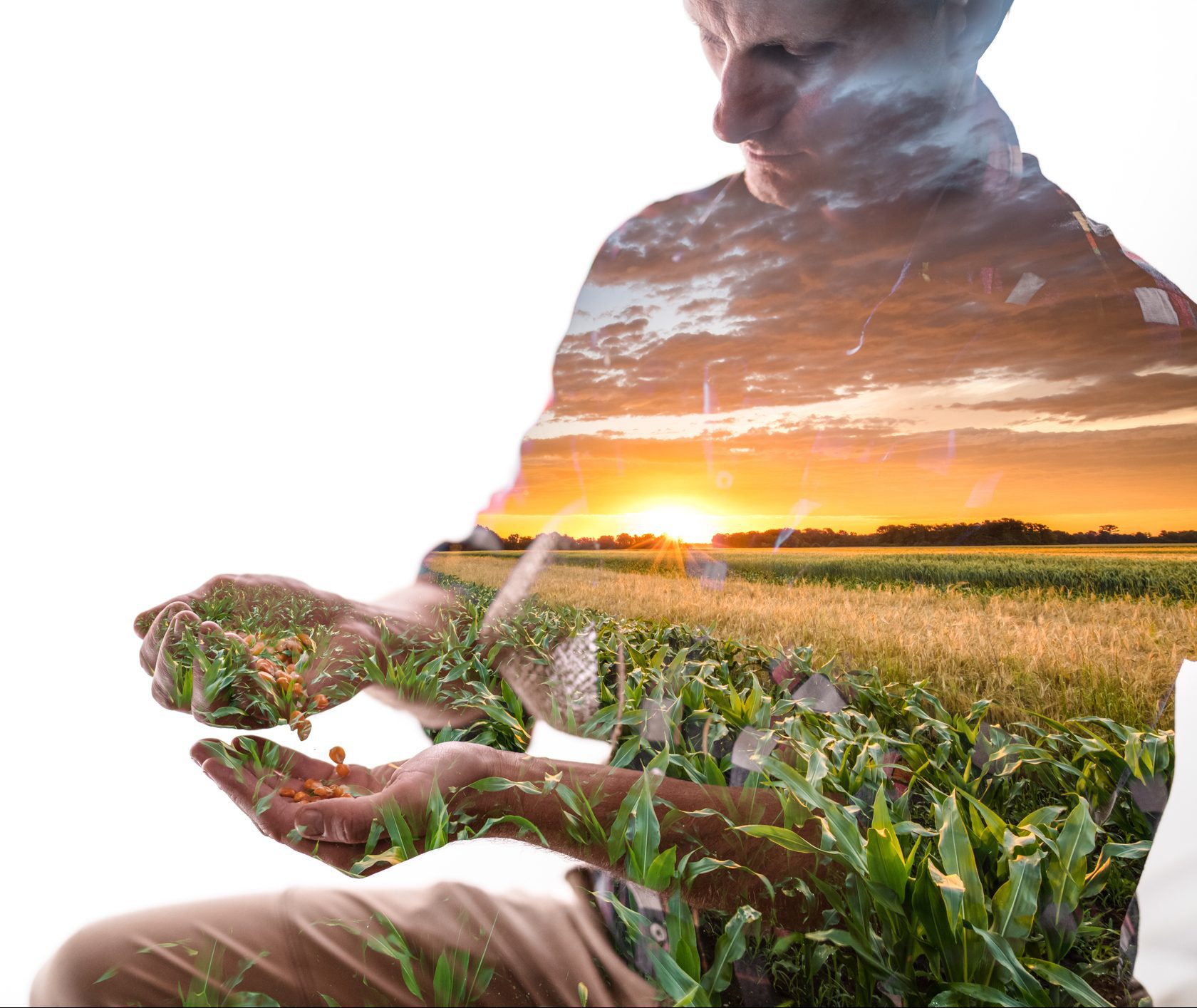 Planting the Seeds of Change, CoachingOurselves