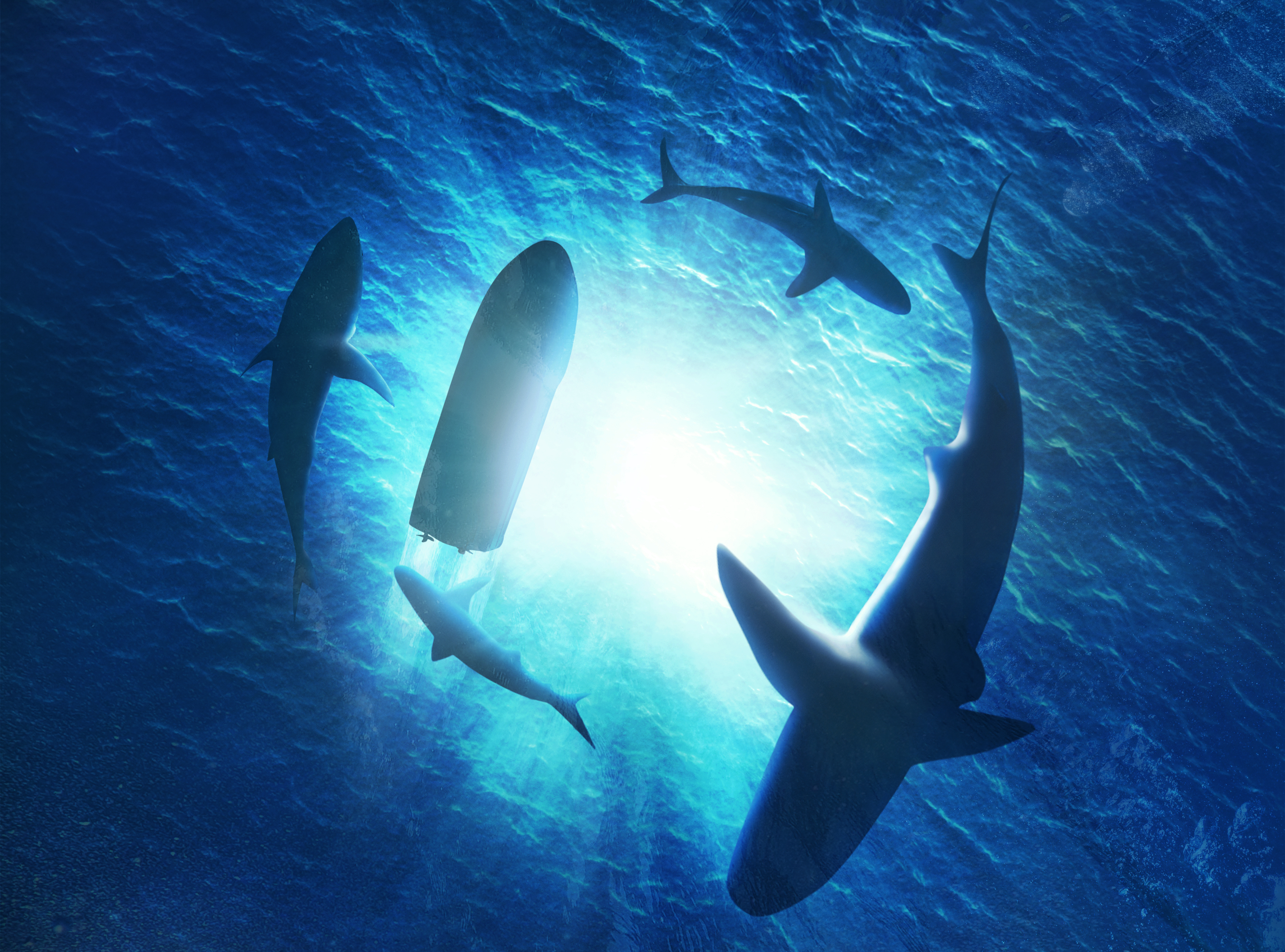 Group of sharks circling under water seen from below - indicating risks of conflict in the workplace.
